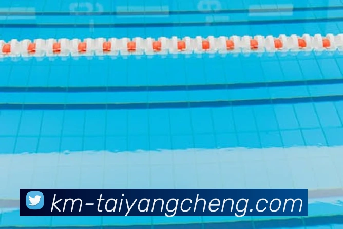 澳门太阳城平台生态图