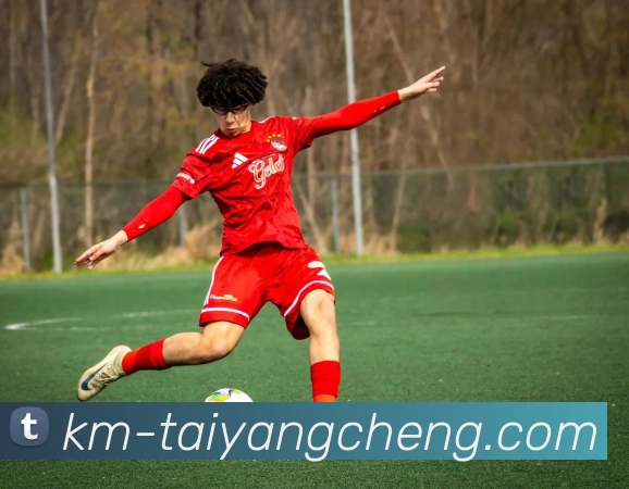 澳门太阳城全站App 澳门太阳城全站App